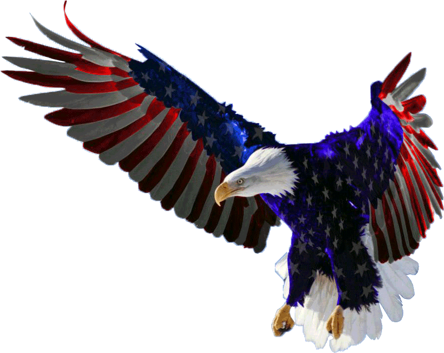 American Eagle PNG Clipart