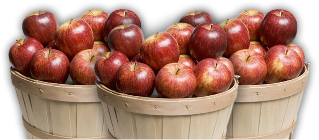 Foto di PNG cestino di mele
