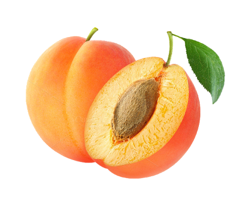 Apricot Close Up Download PNG Image