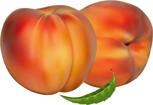 Apricot close up PNG Background Image