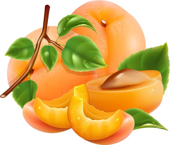 Apricot close up PNG Transparent Image