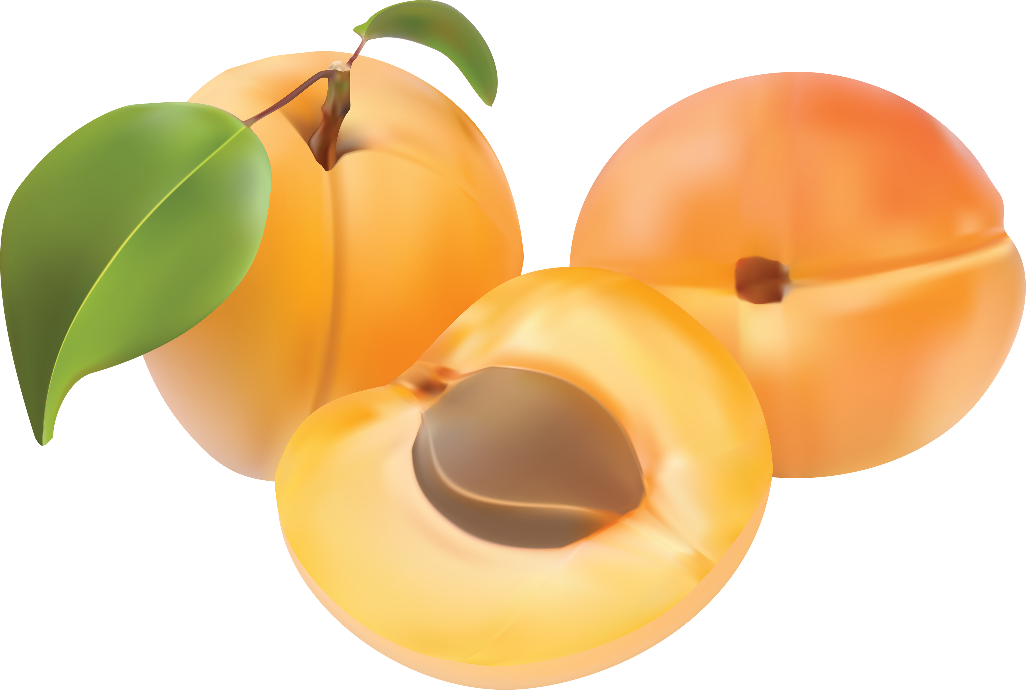Apricot close up PNG transparent