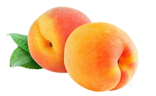 Apricot Fruit Background PNG