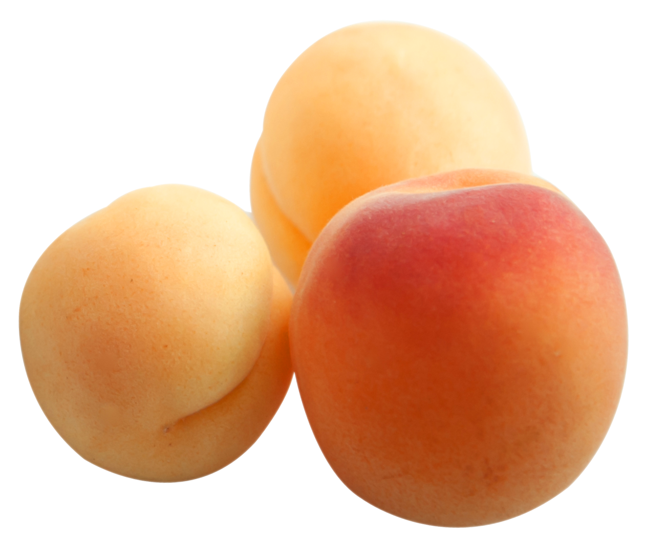 Apricot Fruit Download PNG Image