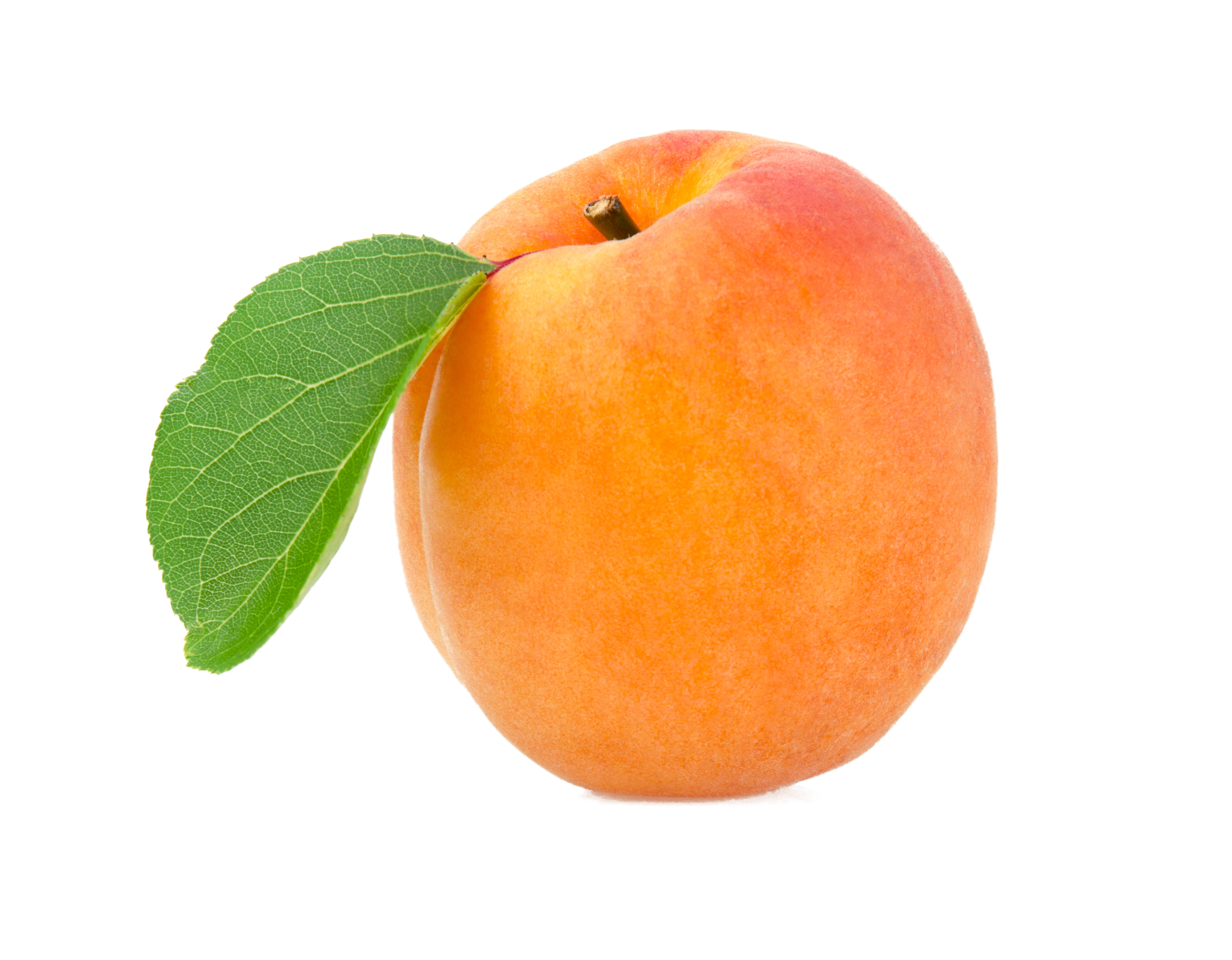 Apricot Fruit PNG Background Image
