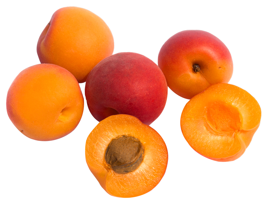 Apricot fruit PNG Image