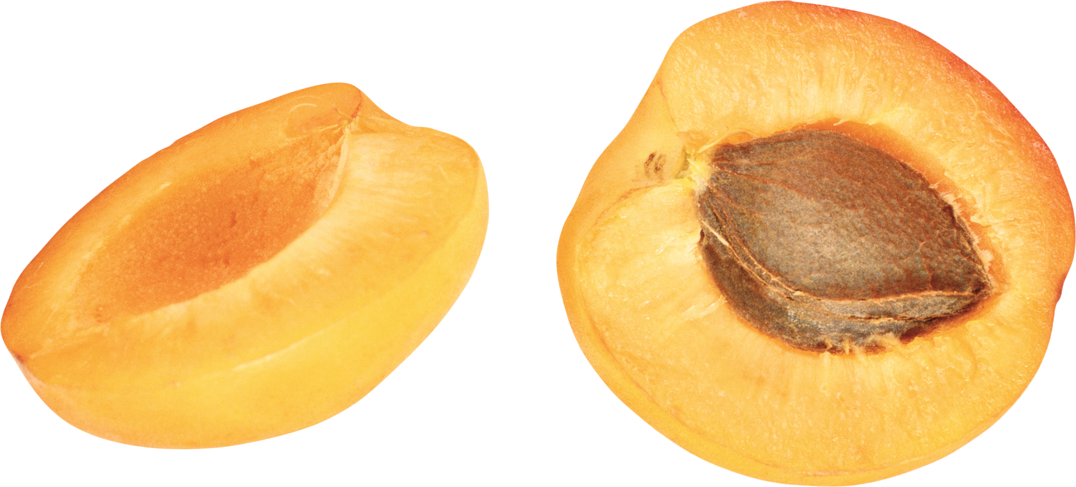 Apricot Fruit PNG Pic