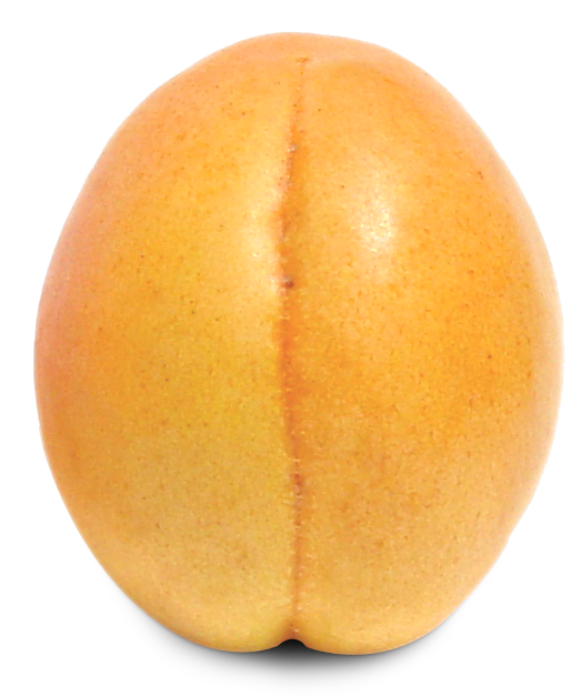 Apricot Fruit PNG transparent HD Photo