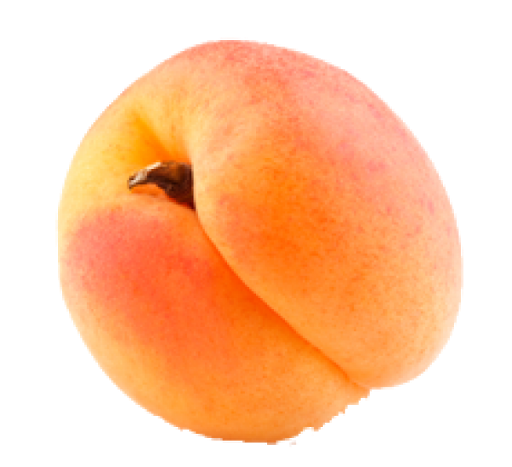 Apricot Fruit PNG transparent Image