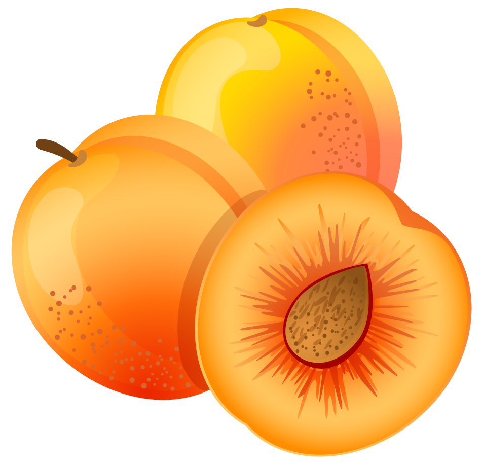 Apricot Fruit PNG transparent