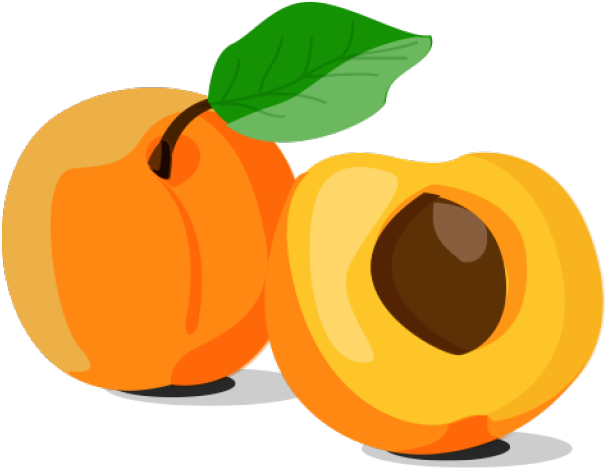 Apricot Fruit Slice PNG File