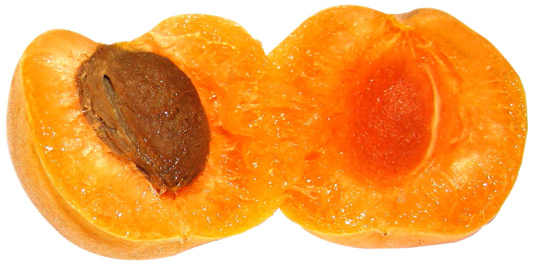 Irisan buah aprikot PNG hd