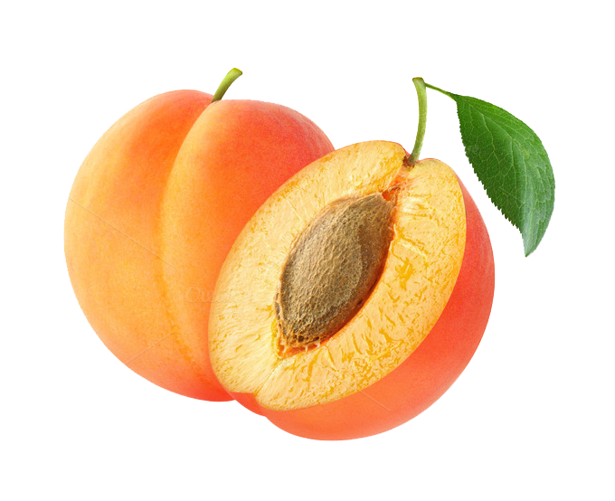 Apricot Fruit Slice PNG Image