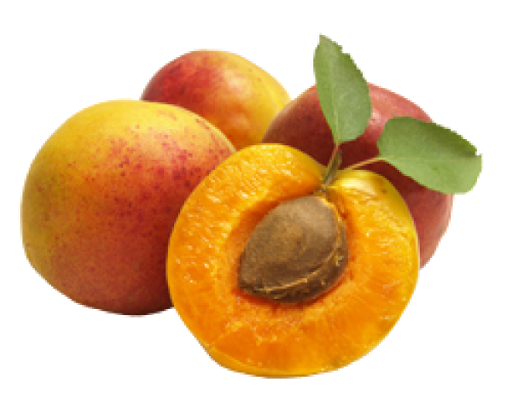 Apricot Fruit Slice PNG Photo