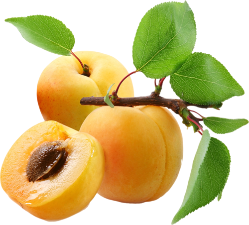 Pic irisan buah aprikot PNG