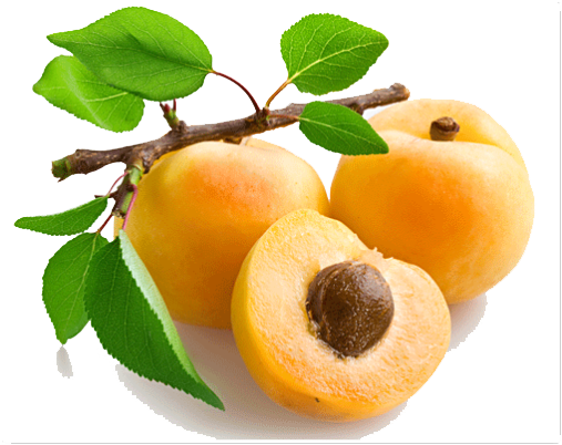 شريحة الفاكهة المشمش PNG شفافة