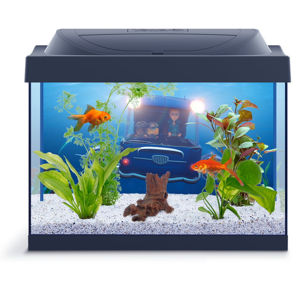 Aquarium Fish Tank PNG Picture
