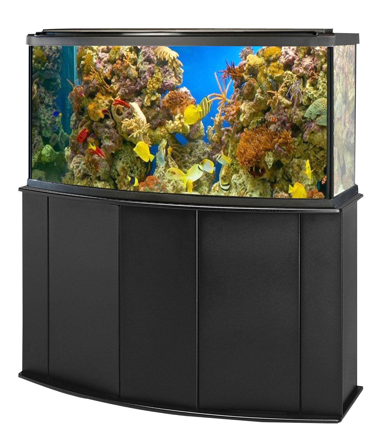 Tangki ikan akuarium PNG Transparan HD