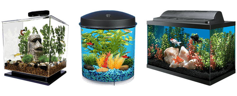 Aquarium-Fischtank PNG-transparentes Bild