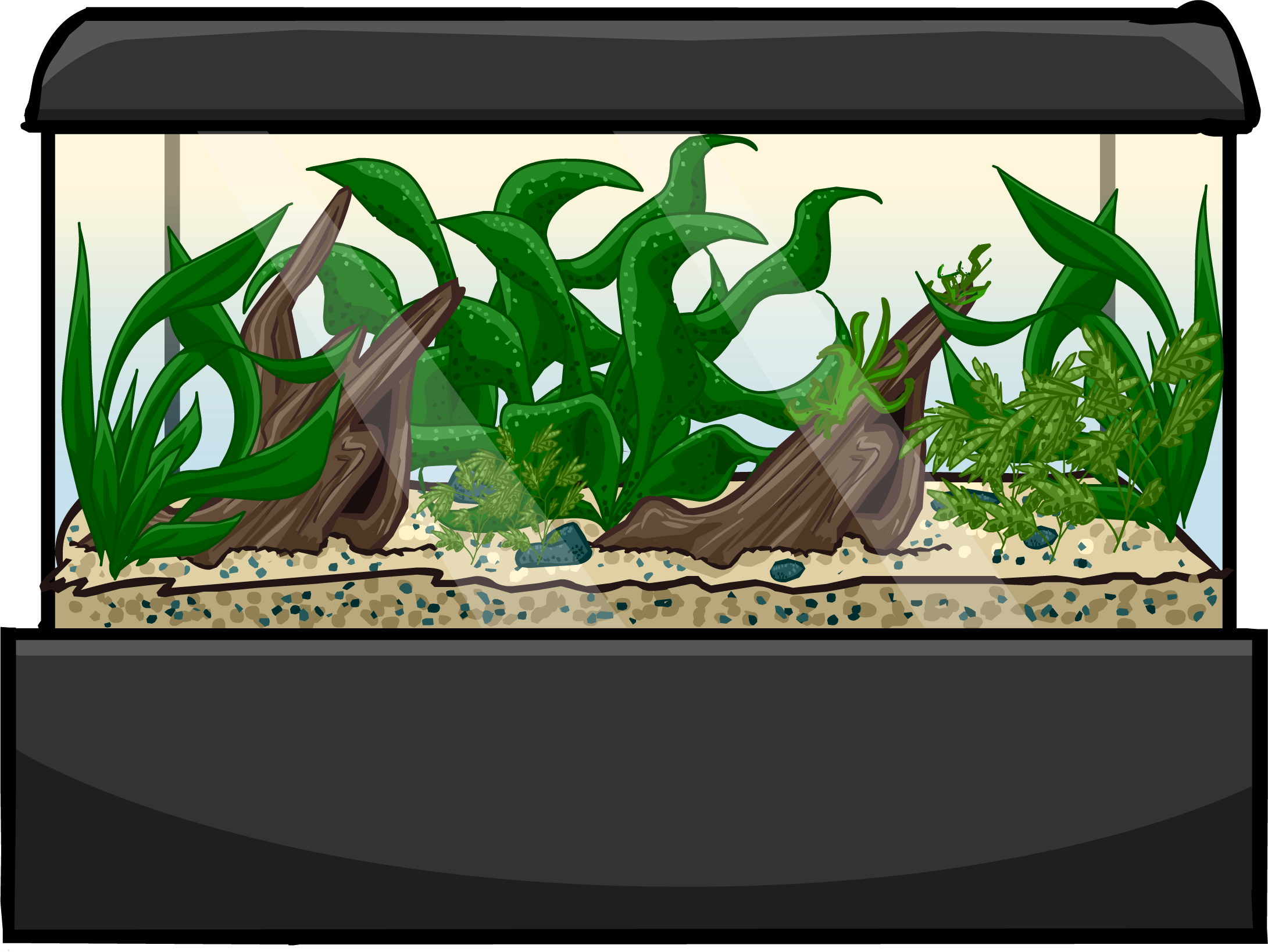 Akvaryum balık tankı PNG şeffaf resim