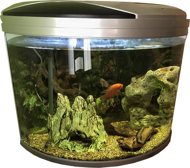 Aquarium Fish Tank PNG Transparent