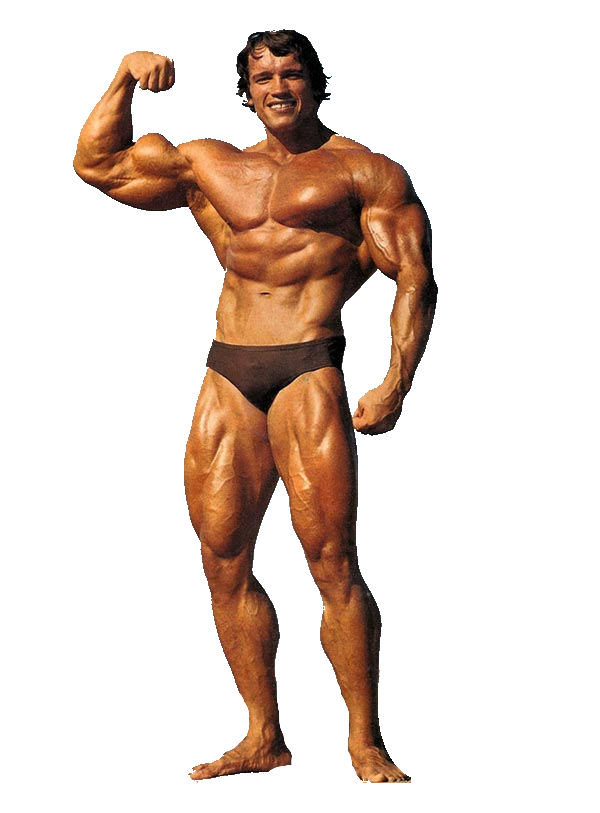Arnold Schwarzenegger Fond PNG