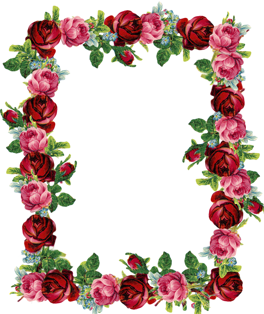 Artistic Flower Frame PNG Transparent Image
