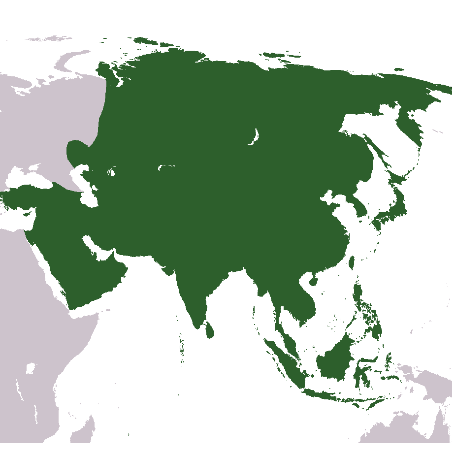 Asia Peta Foto PNG