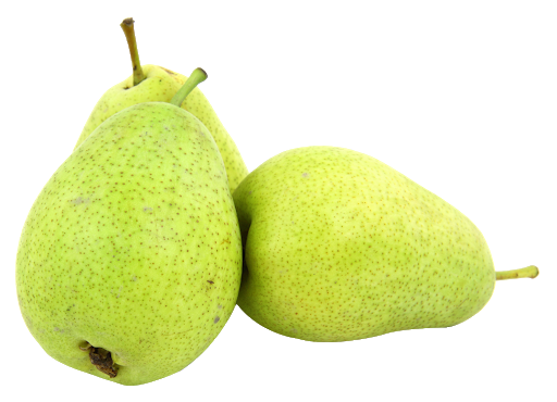 Asian Pear Download PNG Image
