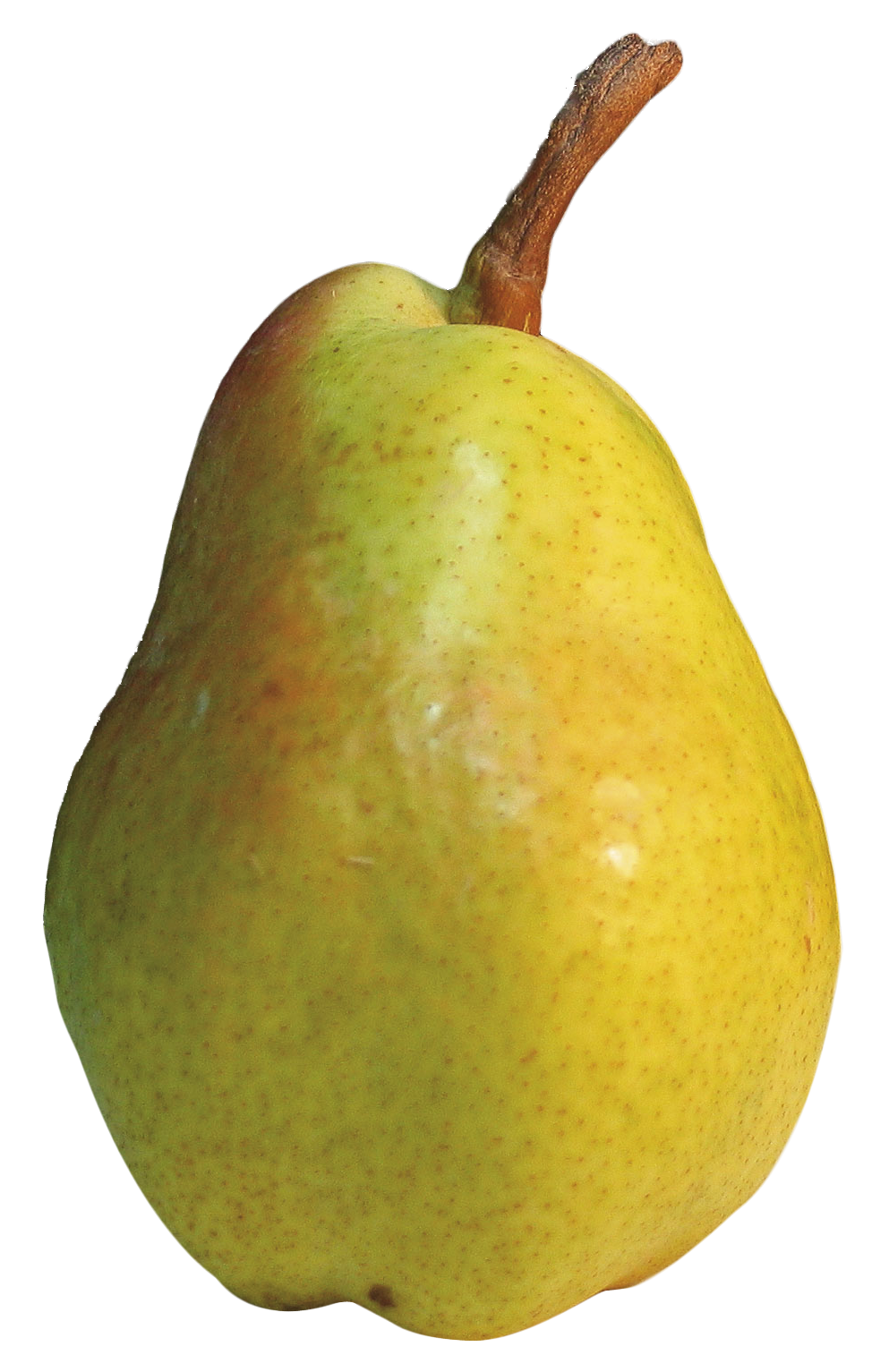 Asian Pear PNG Pic