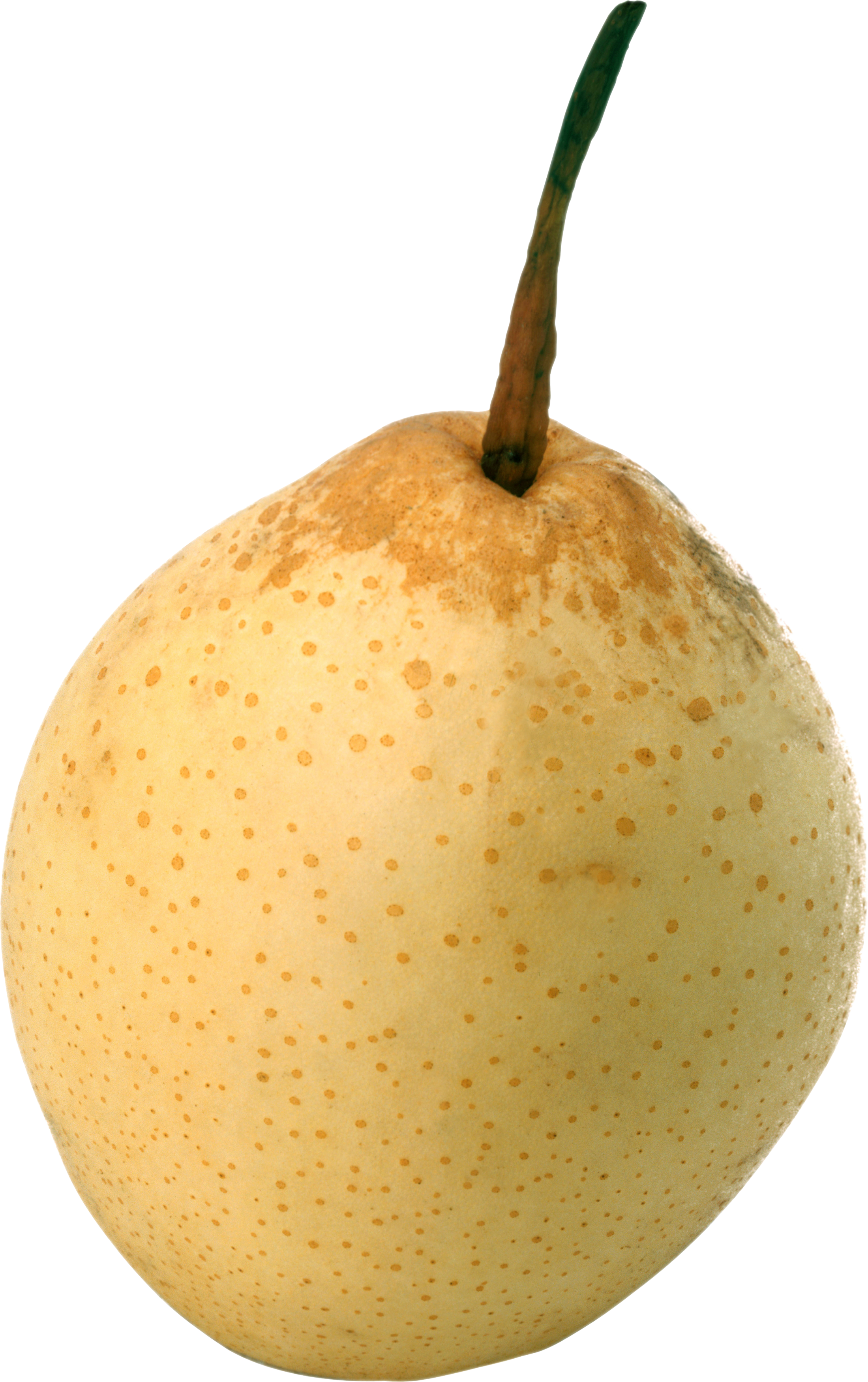 Asian Pear Transparent Background