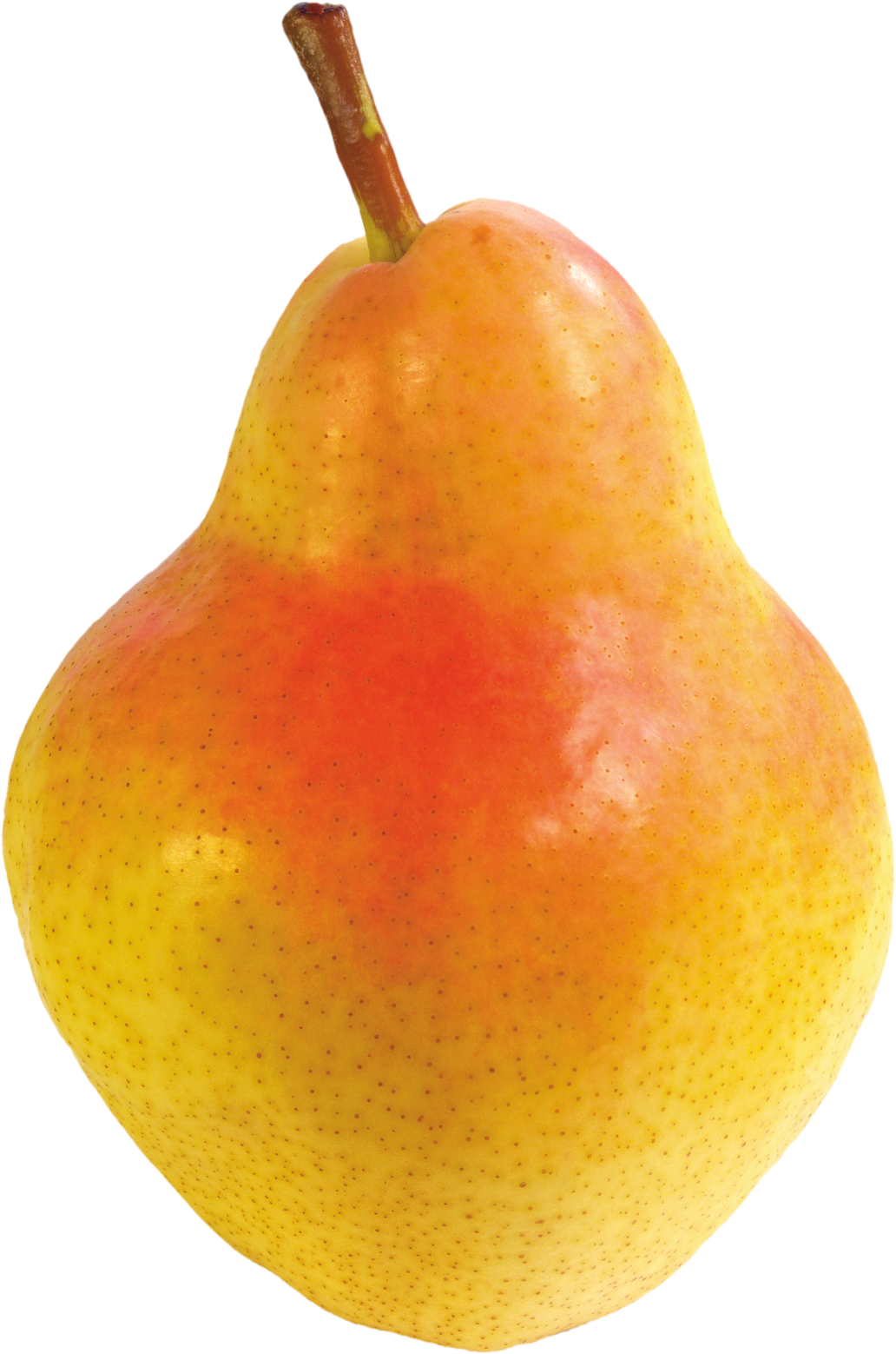 Gambar Asian Pear Transparan PNG
