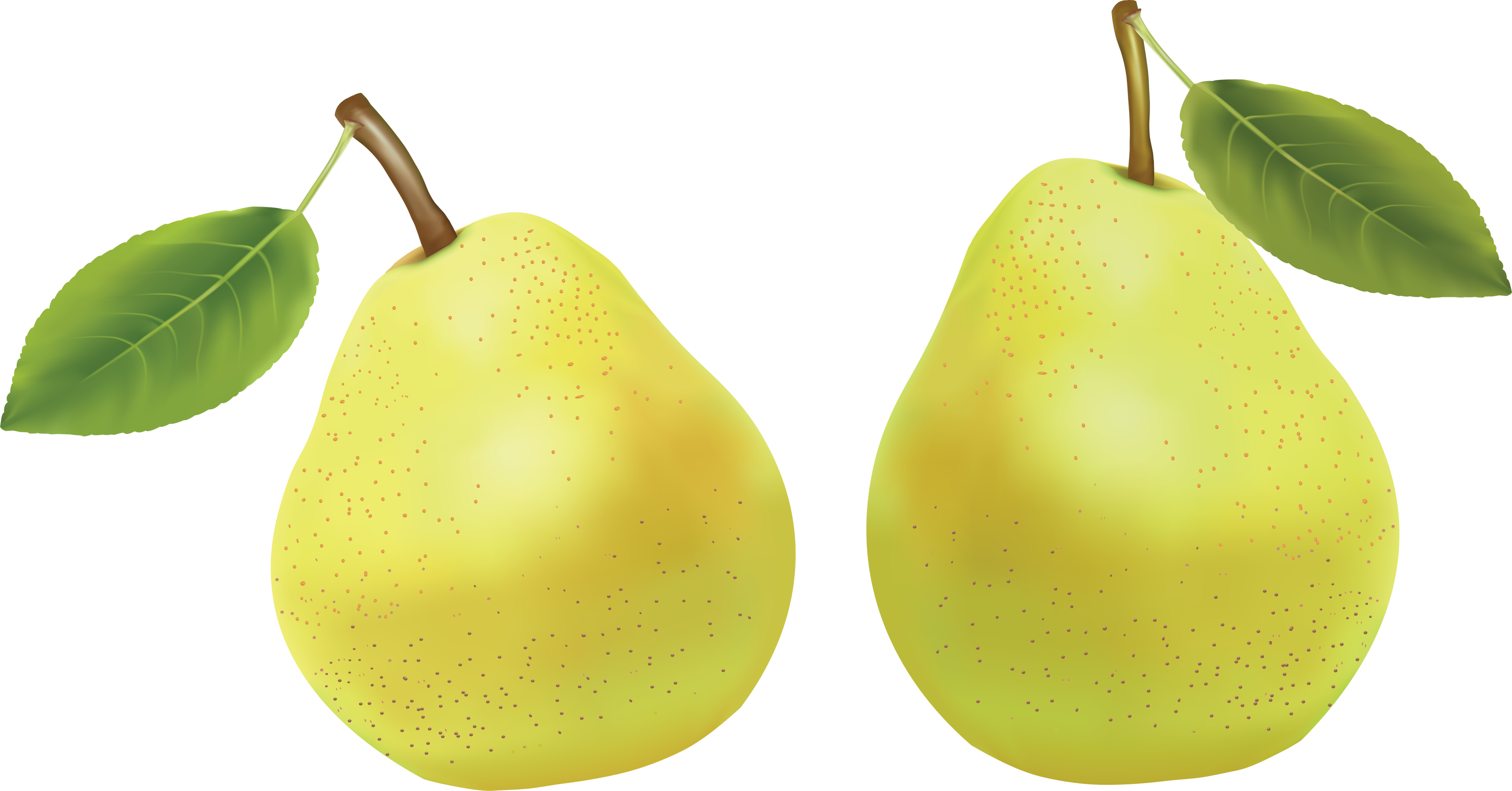 Asian Pear Transparent PNG
