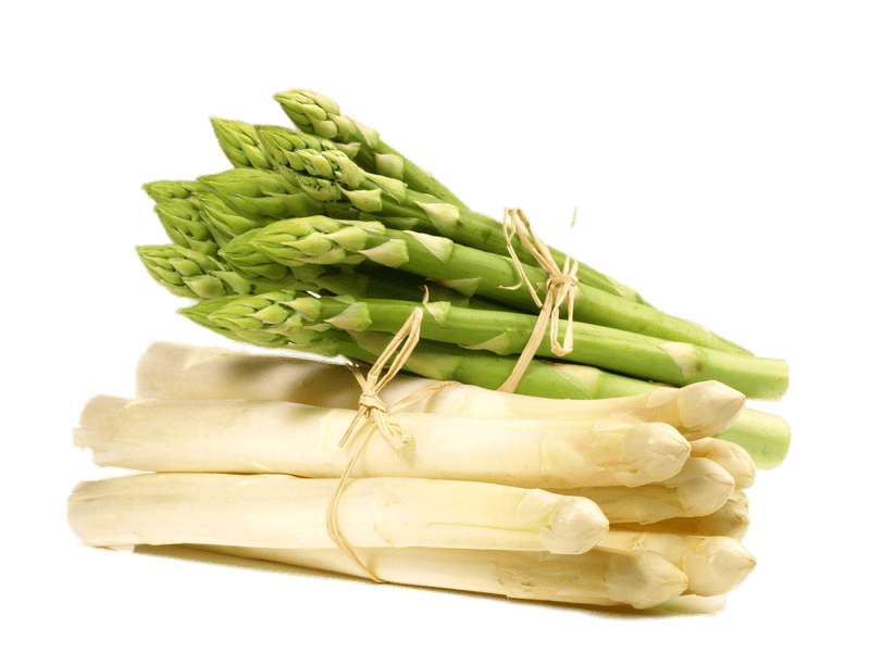 Asparagus Bundle PNG File