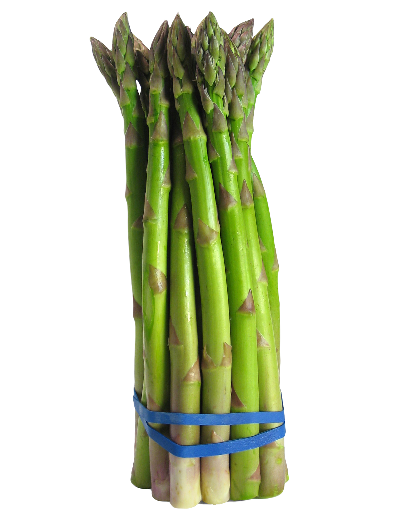 Asparagus Bundle PNG Picture