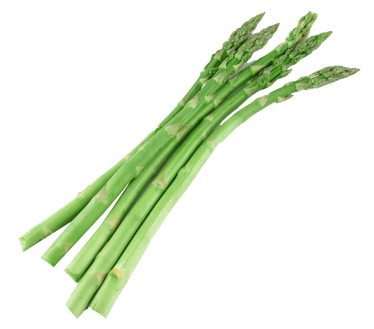 Asparagus Bundle Trasparente PNG