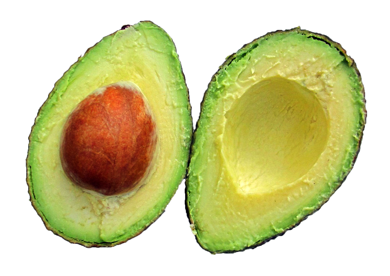 Aguacate medio PNG hd