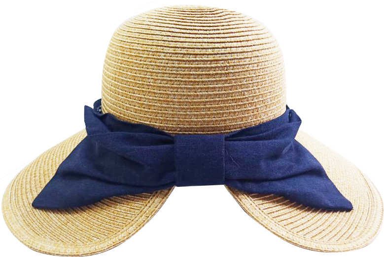 Sombrero de playa PNG File