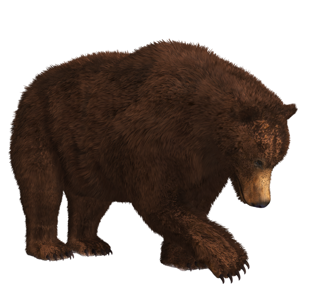 Bear Claw PNG