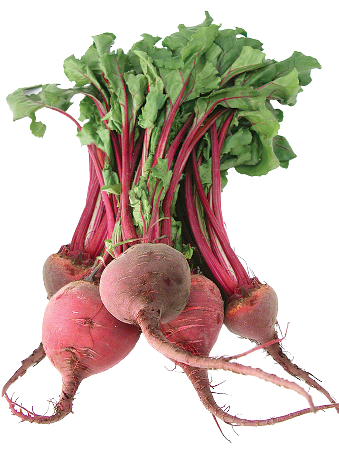 Beetroot Bunch PNG