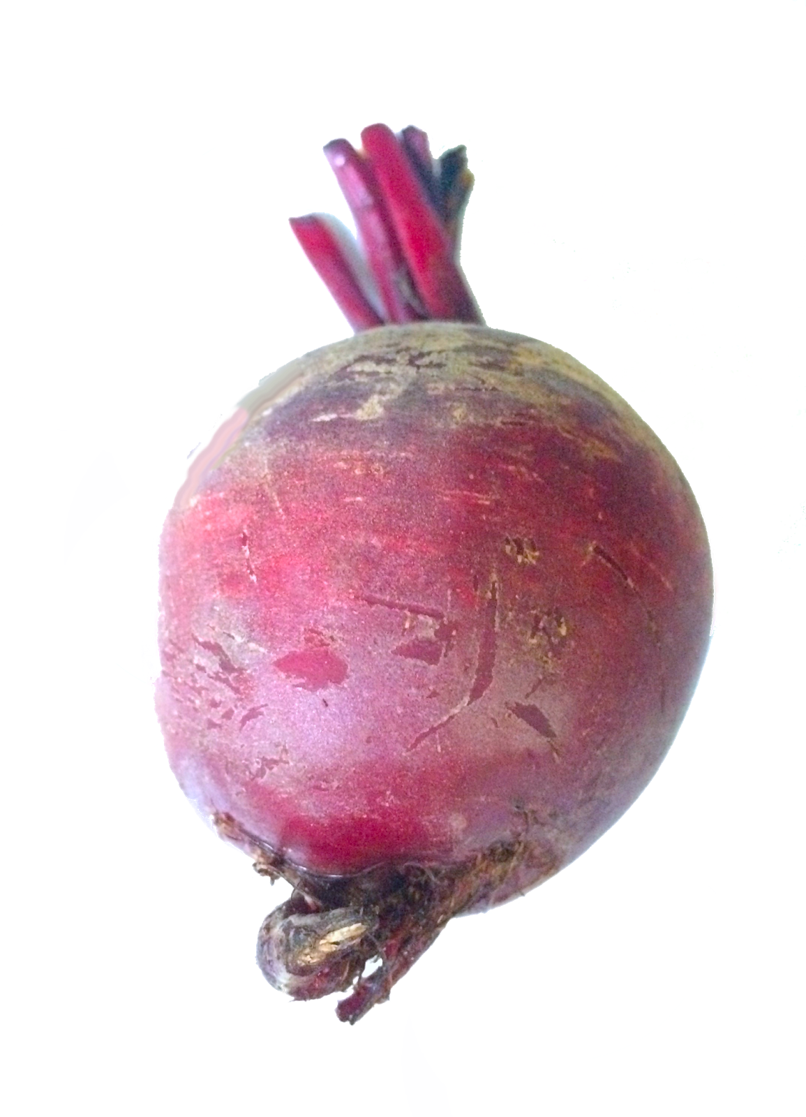 Beetroot Red PNG