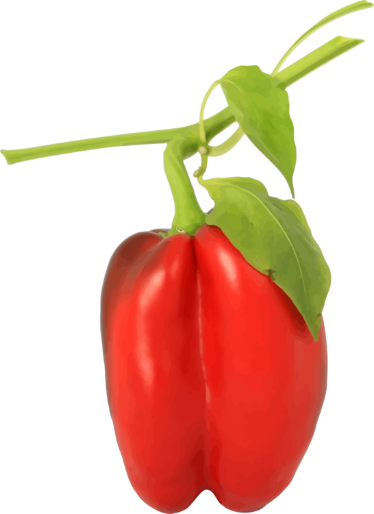 Bell pepper red dahon PNG
