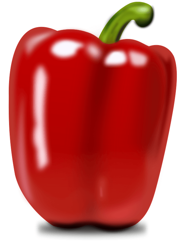 Bell Pepper Roter Vektor PNG