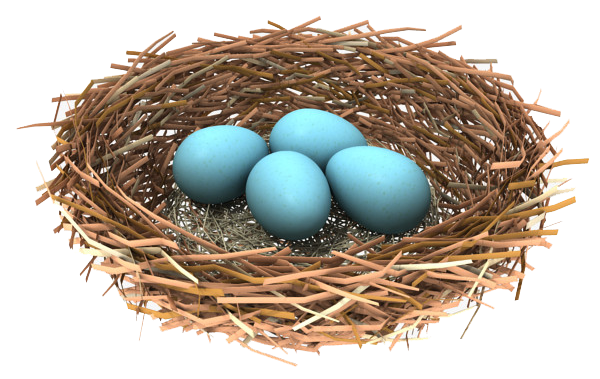 Bird Nest Blue Eggs PNG