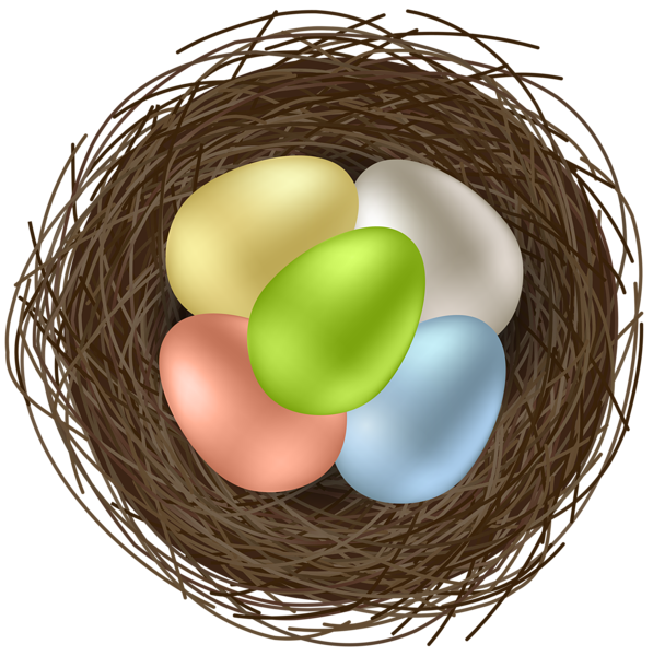 Kuş yuvası renkli yumurta PNG