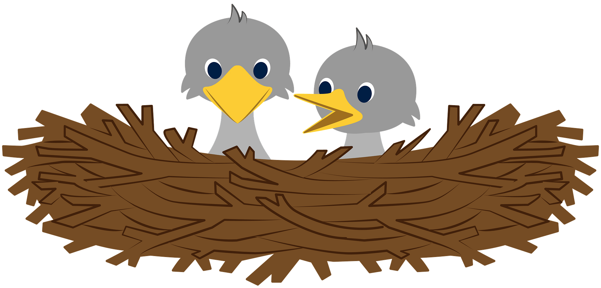 Pájaro nido crías PNG
