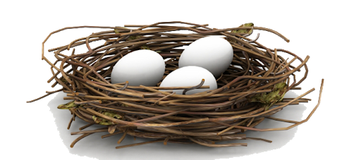 Bird Nest White Eggs PNG