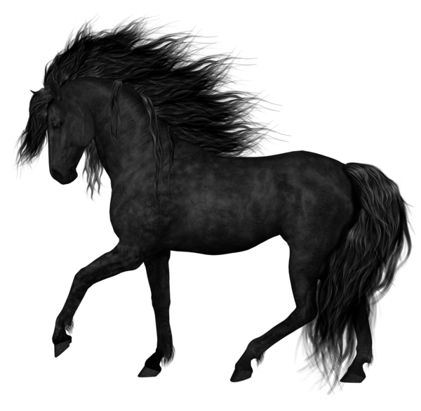 Schwarzes arabisches Pferd-PNG-Bild