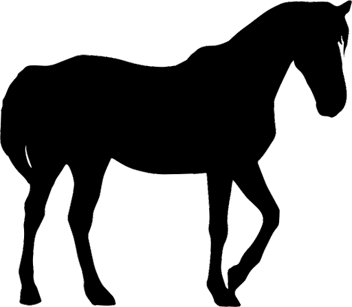 Cavalo arábico preto transparente PNG