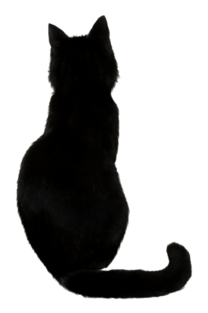 Черный кот вектор прозрачный PNG
